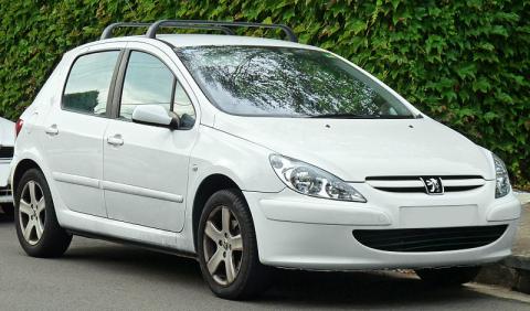 Peugeot 307 2001-2005 T5